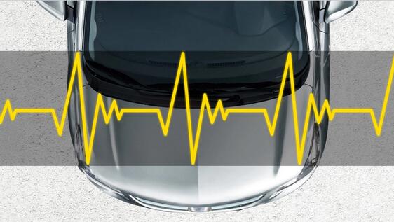 Fahrzeugstatus & -informationen Fahrzeugstatus & -informationen